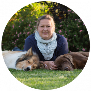 Claudia-Barkow-Niebüll-Hundetraining